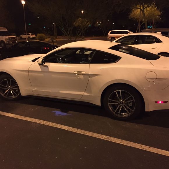 Meet your Posher, Lukas - Picture 1 of 1